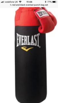 Everlast Boxing Set