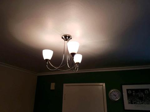 Ceiling lights x 2