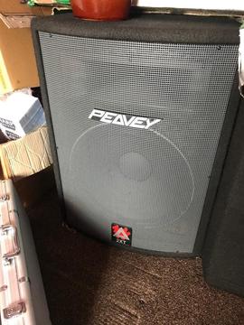 Peavey 2xt speakers pair