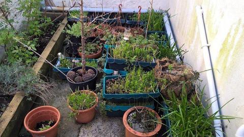 Free pots plants soil gardening tubs