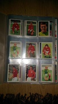 Nottingham forest panini stickers