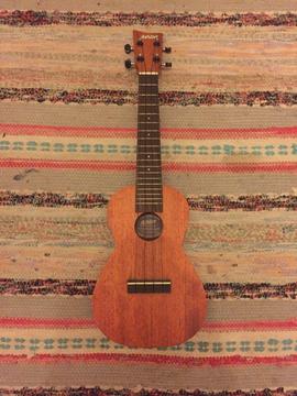 Ashton ukelele