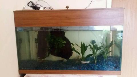 Fish tank 3ft