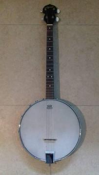 Tenor banjo