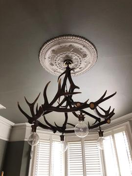 Stunning reindeer chandelier