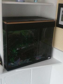 fluval fish tank