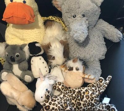 Selection of Soft Toys - 9 in all