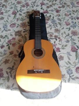 Accoustic guitar with bag and stand