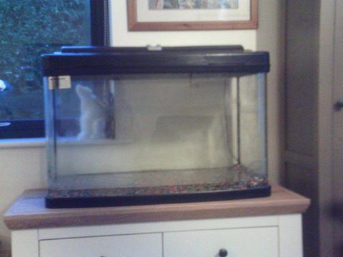Fishpod Fish Tank