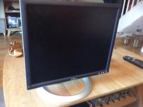 Dell 19 inch Monitor