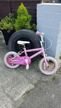 Scrap? Childs bike wheel