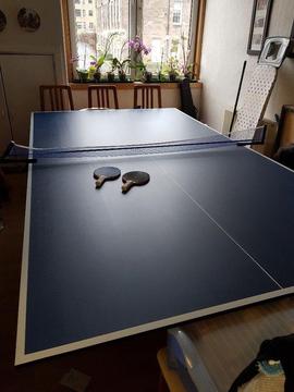 Table Tennis Table Top Board