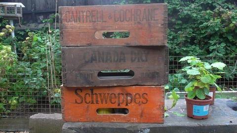 Cash paid for old wooden bottle boxes Schweppes Canada Dry etc any amount