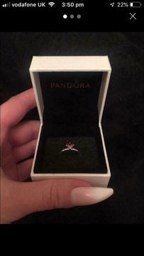 Pandora ‘you and me’ Ring
