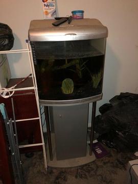 Fish tank with stand and storage